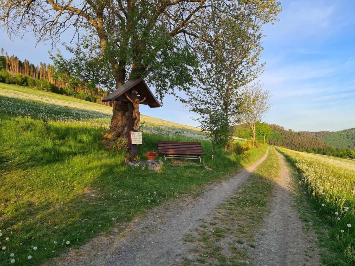 Ferienwohnung Hennemann Schmallenberg Exterior foto
